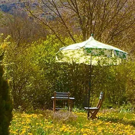 Bed & Breakfast D'hotes Combes Les Aires De La Carline *